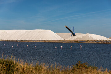 Heap of white salt in the Saltworks of Aigues-Mortes wihl pink flamingo birds, south France, Europe