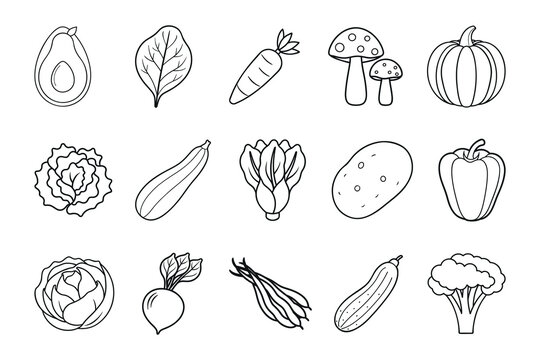 Set of hand drawn vegetables icons. Outline illustrations of various vegetables. Various types of vegetable line art vector illustration icon set isolated on white background.