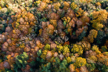 Autumn Colour from Above