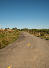 Road and scenery at California's Lost Coast. 