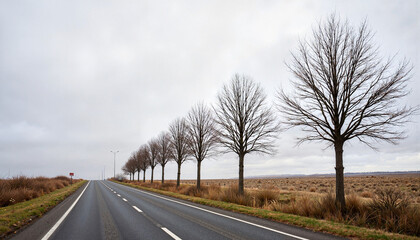 Fototapeta premium Bare trees lining a deserted road under a cloudy sky, solitude concept