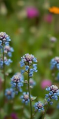 Blue flowers bloom in a lush garden during spring, creating a vibrant display of nature's beauty