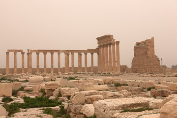 Fototapeta premium Syria Palmyra view on a cloudy spring day