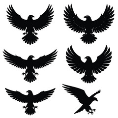 Obraz premium Six distinct silhouettes of eagles in various flying positions, displayed against a pure white background