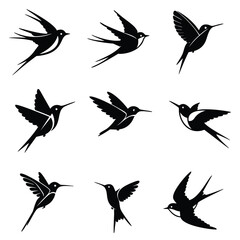 Obraz premium Hummingbirds in flight with wings spread out, showcasing various dynamic poses and silhouettes against a white background