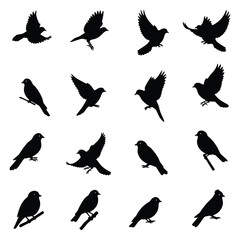 Fototapeta premium Bird silhouettes in flight, scattered across a dark background, assorted feathered shapes and wings spread, minimalist graphic for decoration and