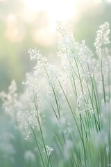 The serene image of a breeze through tall grass fields, bathed in warm, soft light, evokes calm and relaxation. Perfect as a soothing background for inspirational posters or wellness designs.