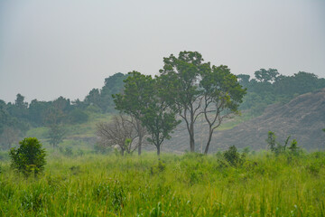 Scenic cloudy landscape of Hurulu Eco Park landscape in Habarana, Sri Lanka, Asia	