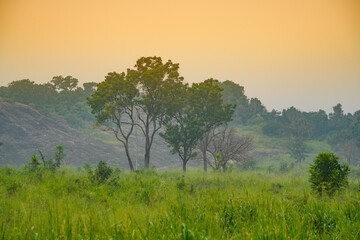 Obraz premium Hurulu Eco Park landscape in Habarana, Sri Lanka, Asia