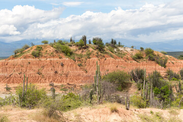 Panorama of the Tatacoa desert with a morning light. Typical geological formation coming from erosion. Cloudy day, green grass, cactus, mountains in the background. Villavieja, Huila, Colombia.