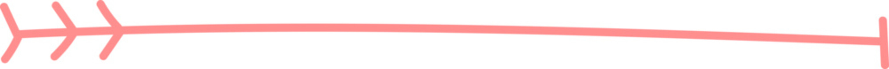 Line Divider Ornament with Heart