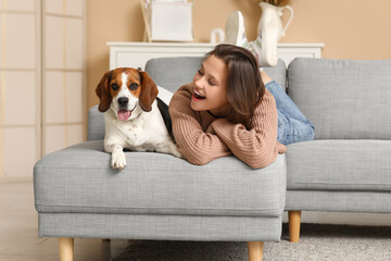 Young woman with cute Beagle dog lying on comfortable sofa at home