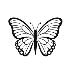 butterfly vector illustration,coloring page