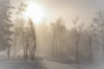 walking on the snow capped mountains at a sunny and foggy winter day