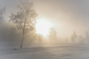 walking on the snow capped mountains at a sunny and foggy winter day