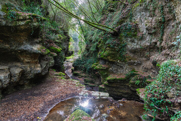 Natural canyons (forre), streams and waterfalls near the village of Gallese, in the Province of...