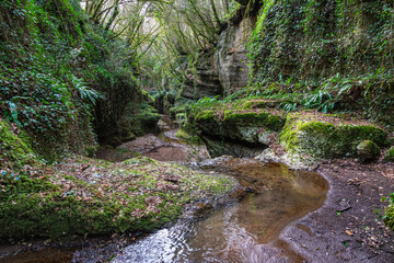 Natural canyons (forre), streams and waterfalls near the village of Gallese, in the Province of...