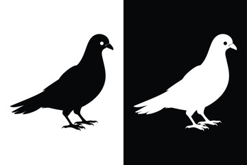 Versatile Pigeon Silhouette Vector with Black and White Aesthetic.