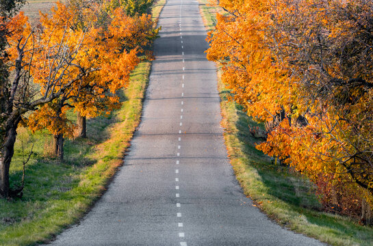 rural asphalt road in autumn