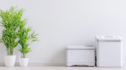 Office plants near printer and copier against white wall