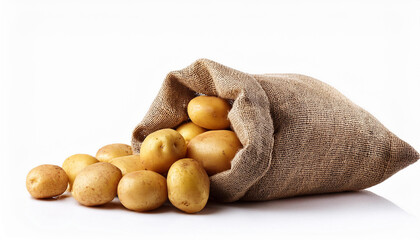 sack of potatoes lying down isolated on white