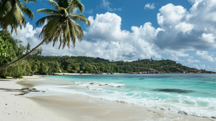 Fototapeta premium Tropical beach with turquoise water and palm trees under a blue sky