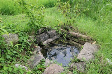 Natural Stone Spring and Greenery in a Vibrant Rural Countryside Field