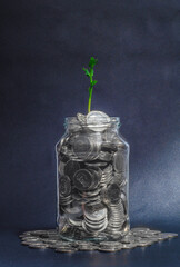 Green sprout in transparent glass jar of coins against dark. Concept of ecological business, profit growth.