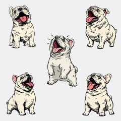 Adorable and Cute French Bulldog Vector Pack