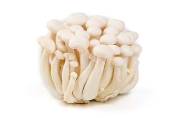 White Beech Mushrooms, Isolated on White Background.