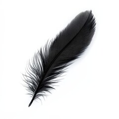 Black feather isolated on white background. Vector illustration. Eps 10.