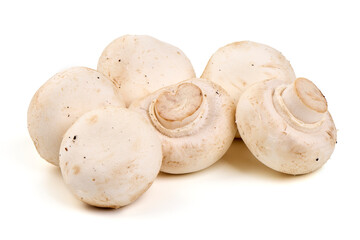 Champignons, close-up, isolated on white background.