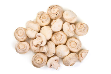 Champignons, close-up, isolated on white background.