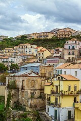 Obraz premium waterbird, waterland, geese flying, canadian, avian, branta, canadian goose, environment, canada geese, canada goose, branta canadensis, marshes, england, devon, wild goose, animals, wetland, flying, 
