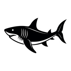 shark illustration