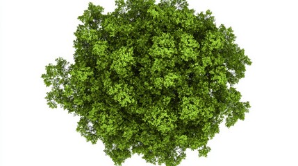 Earth, depicted solo against a white background, embodies the concept of Earth Day or Environmental Day, highlighting a green world map and focusing on sustainability and ecological balance