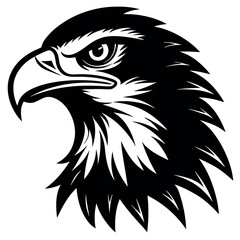 eagle head vector illustration