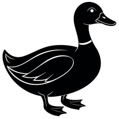 duck isolated on white background