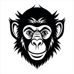 head of a monkey