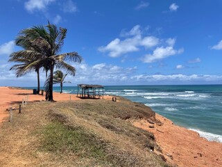 beach with palm trees view of brazilian paradise 