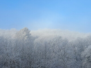Sunny fluffy winter with blue sky