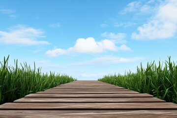Fototapeta premium Wooden Dock Path to a Foggy Horizon - Serene morning, wooden walkway, grassy banks, blue sky, peaceful journey. Symbolizes hope, new beginnings, tranquility, nature's beauty, and the path ahead.