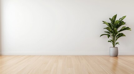 Minimalist room interior, plant, wooden floor, white wall, design mockup