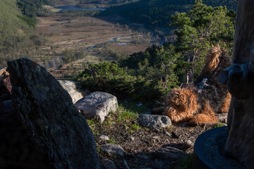 Furry Airedale Terrier posing in front of Hjelmeland’s Ritlandskrateret – A Meteorite Crater in...