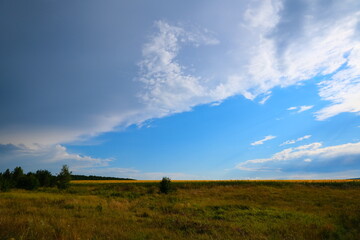 Fototapeta premium A country road with sprouted grass, stretching towards the horizon with a blue sky.