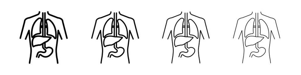 human body anatomy icon Outline sign symbol set