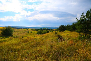 Fototapeta premium A country road with sprouted grass, stretching towards the horizon with a blue sky.