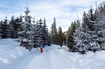 Woman walking with pomeranian spitz in the snow