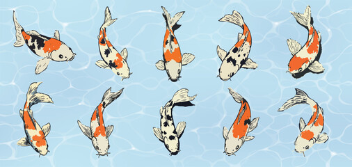 set of colorful koi fish vectors