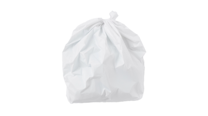 bag isolated on white background